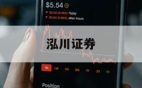买股票怎么加杠杆的简单介绍