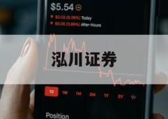 关于杠杆炒股查询平台的信息